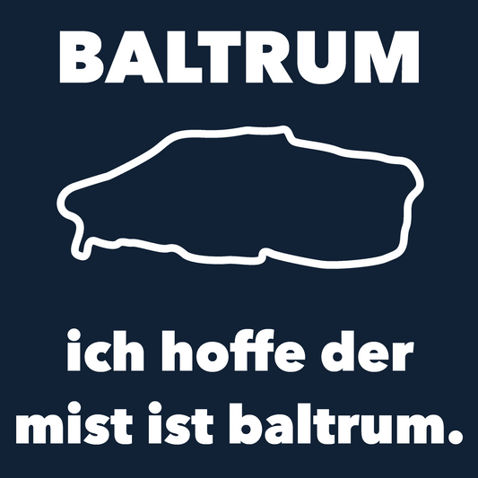 Baltrum - Organic Hoodie (Stick)