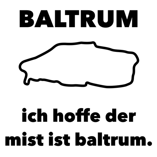 Baltrum - Organic Oversize Shirt (Stick)